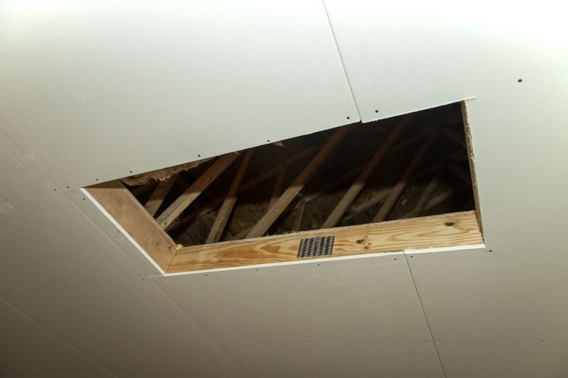 Attic Remodeling